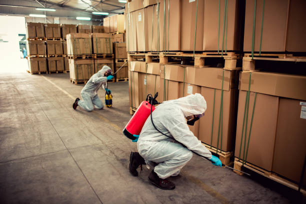 Best Pest Removal Services  in Falls City, NE