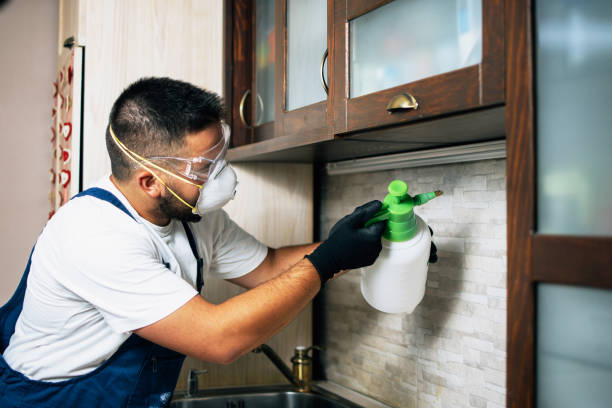 Best Cockroach Control Services  in Falls City, NE