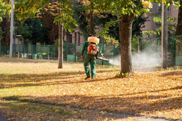 Wildlife Control Services in Falls City, NE