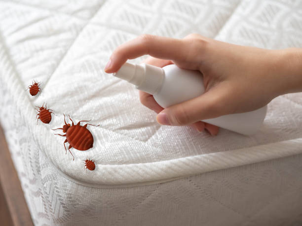  Falls City, NE Pest Control Pros