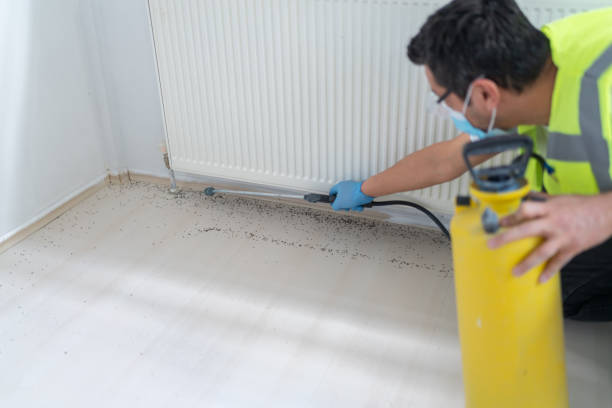 Best Commercial Pest Control Services  in Falls City, NE