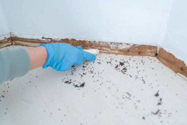 Best Commercial Pest Control Services  in Falls City, NE